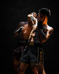 SOK Muay Thai shorts